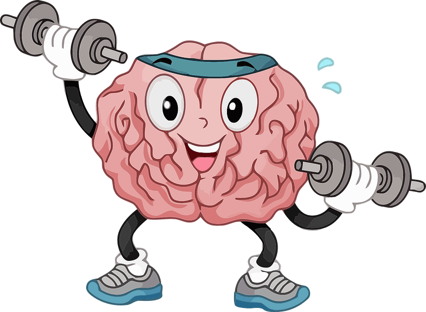 exercise to improve cognitive function
